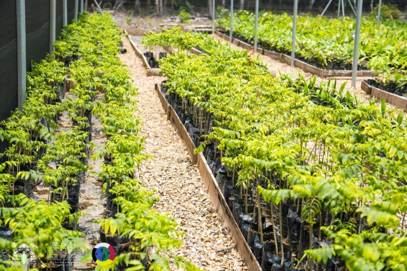 Greening Belize Initiative Partnership