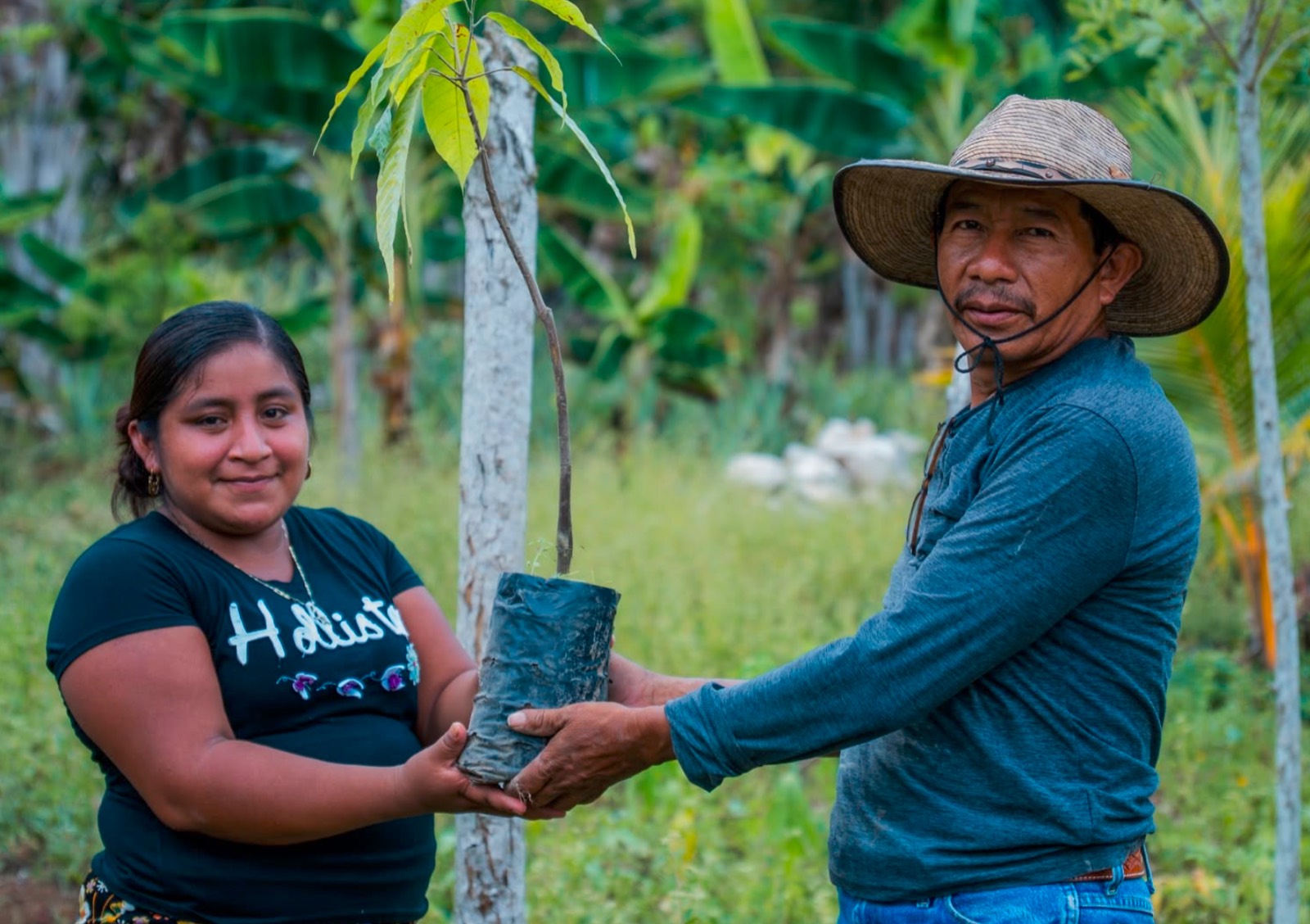 Environmental stewardship